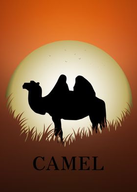 Camel Animal