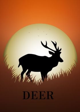  Deer Animal