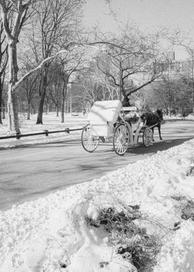 Central Park New York City