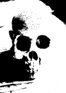 Horror white skull silhoue