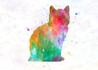 selkirk rex cat watercolor