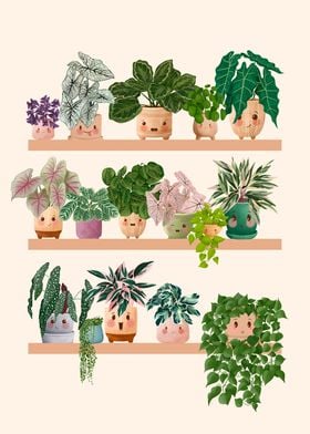 Cute Plants On A Shelf 