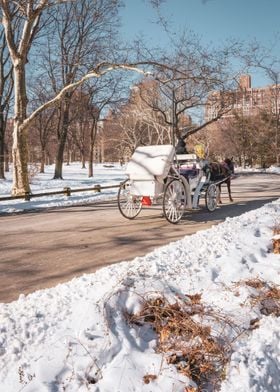 Central Park New York City