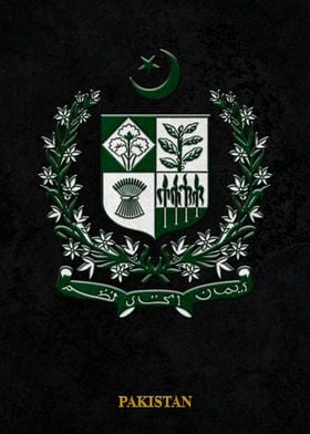 Arms of Pakistan