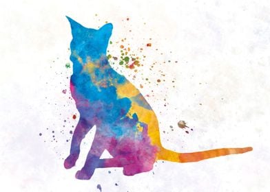 Oriental cat in watercolor