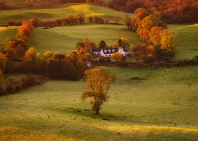 Irish countryside at sunse