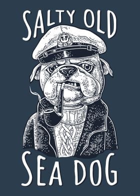 Sailor maritime Sea Dog