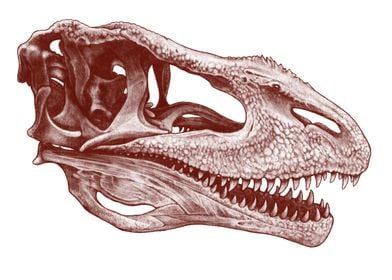 Red Carcharodontosaurus