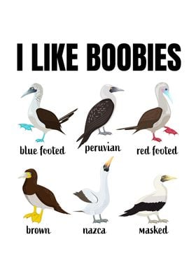 I Like Boobies Booby Bird