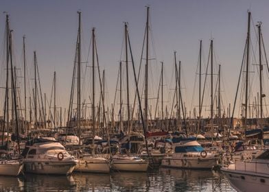 Alicante marina