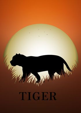 Tiger Animal