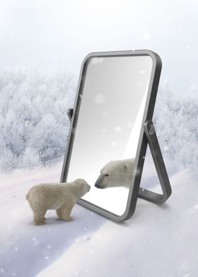 Bear in The Mirror