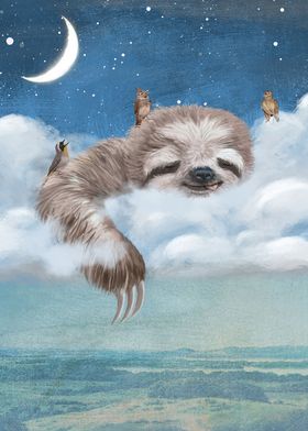 A Sloths Dream