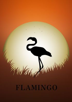 Flamingo Animal