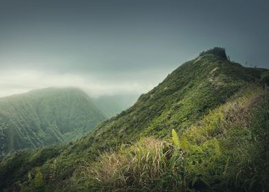 Hawaii green hills
