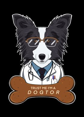 Veterinary Border Collie