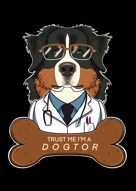 Vet Bernese Mountain Dog