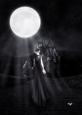 Moon Lights The Castle 