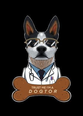 Veterinary Blue Heeler