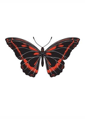 Red Butterfly