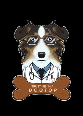 Vet Australian Shepherd