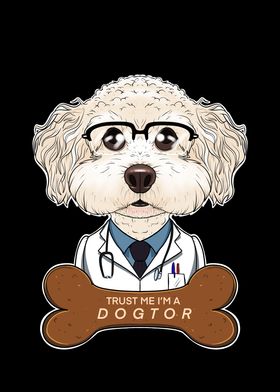 Veterinary Bichon Frise