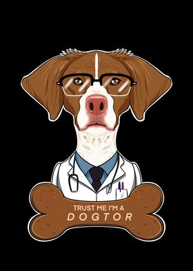 Veterinary Brittany Dogtor