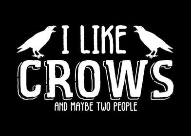 Crow Joke Raven Bird Crows