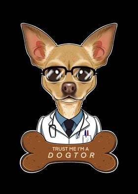 Veterinary Chihuahua