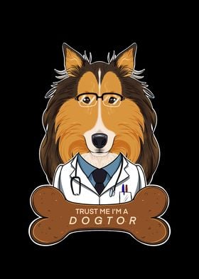 Veterinary Collie Dogtor