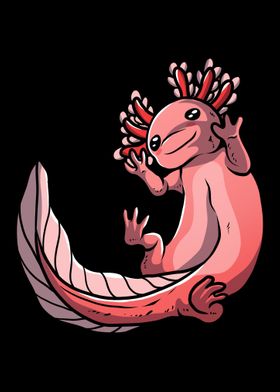 Axolotl Salamander