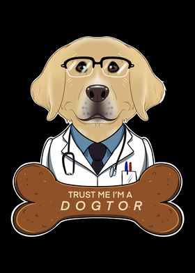 Veterinary Labrador Dogtor