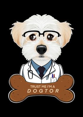 Veterinary Maltese Dogtor