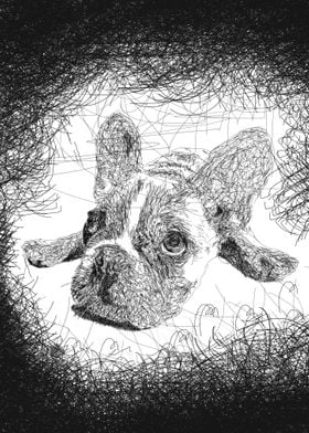 Dog Scribble Art