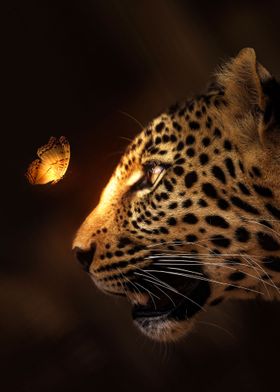 Leopard Glowing Butterfly