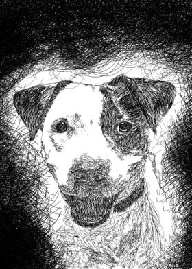 Dog Scribble Art