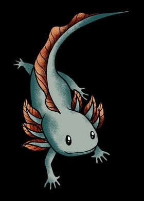 Axolotl Salamander