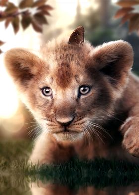 Lion Cub and Butterfly