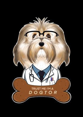 Veterinary Havanese Dogtor