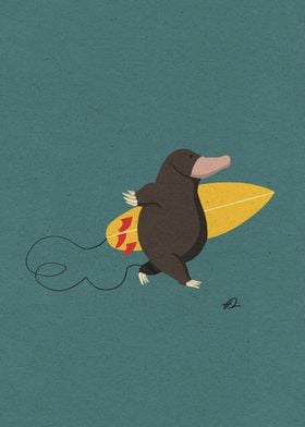 Surfing Mole