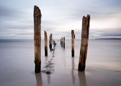 Wooden poles on the beach