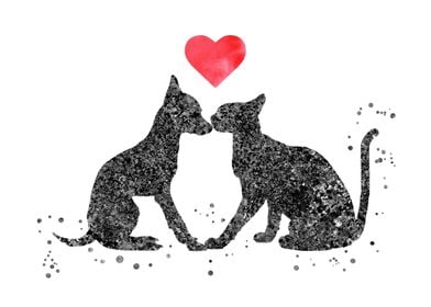 Cat and dog kissing 