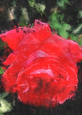 Classic red rose artwork