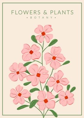 Soft Pink Flowers Botany