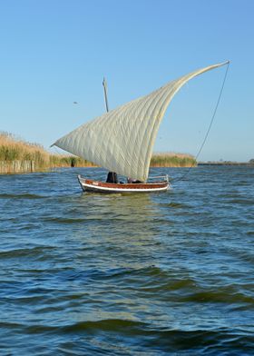 Latin Sail