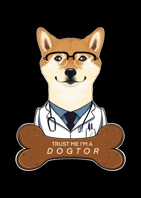 Veterinary Shiba Inu