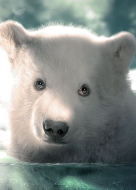 Polar Bear Cub