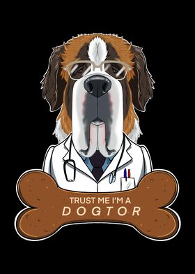 Veterinary Saint Bernard