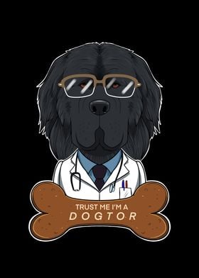 Veterinary Newfoundland