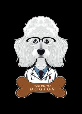 Veterinary Poodle Dogtor